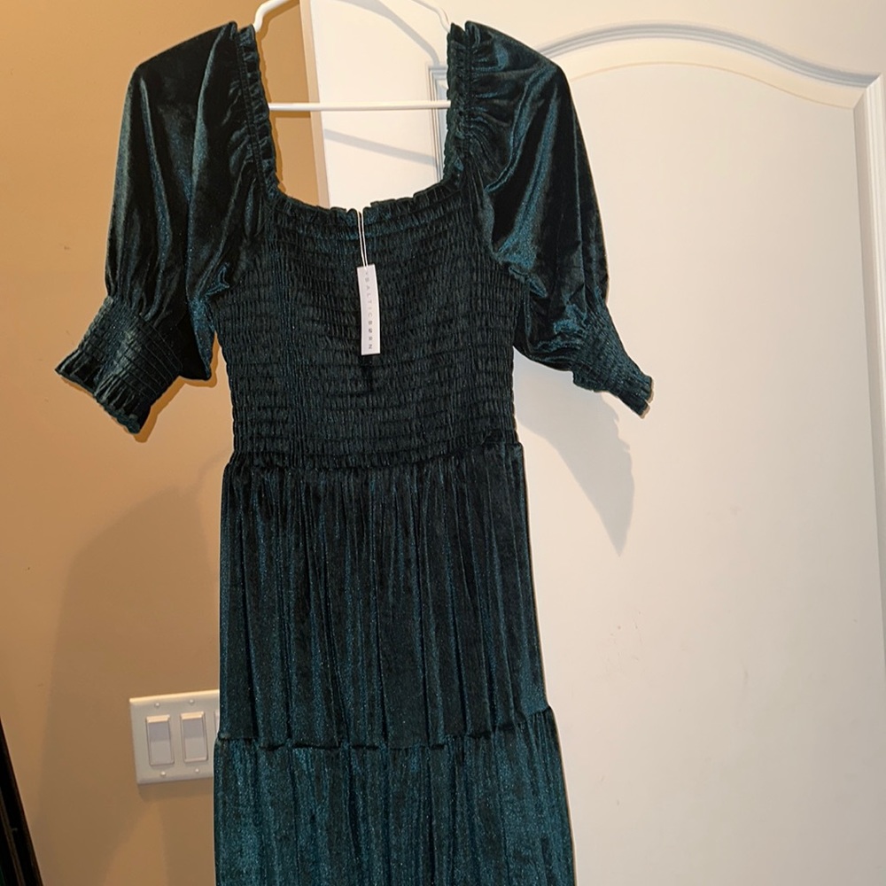 Baltic born smocked veltvet dress